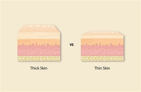 thin skin vs thick skin